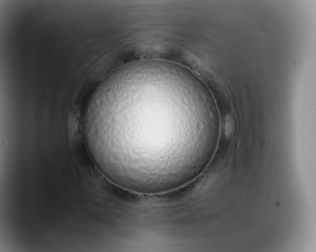 X0000089891059200707121827