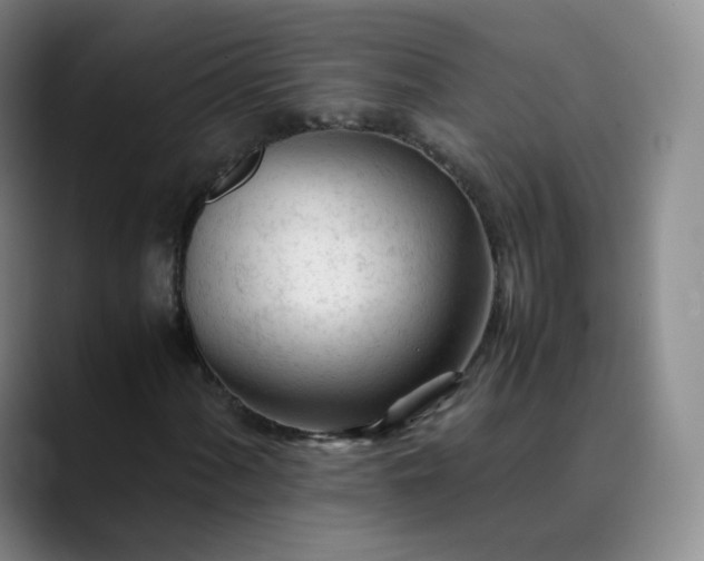 X0000089891060200707121827