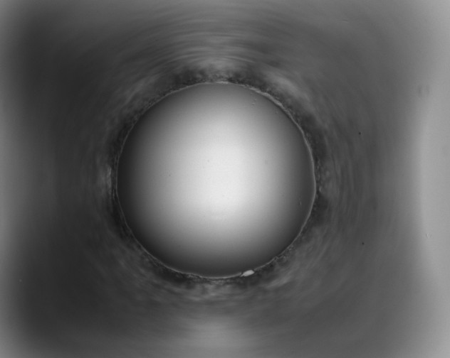 X0000089891061200707121827