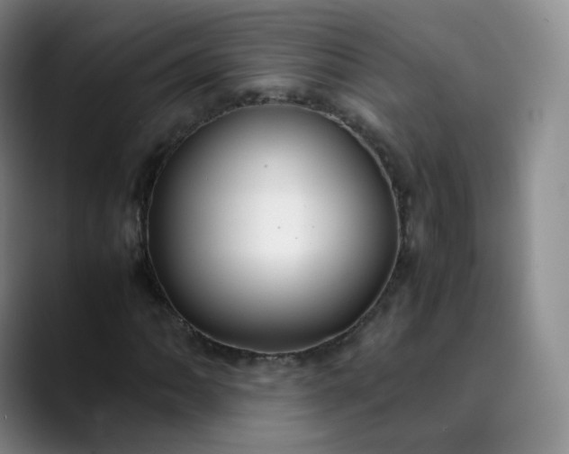 X0000089891062200707121827