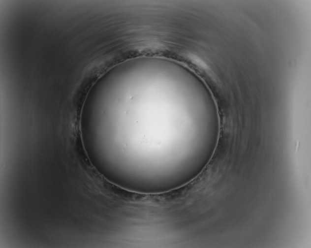 X0000089891063200707121827