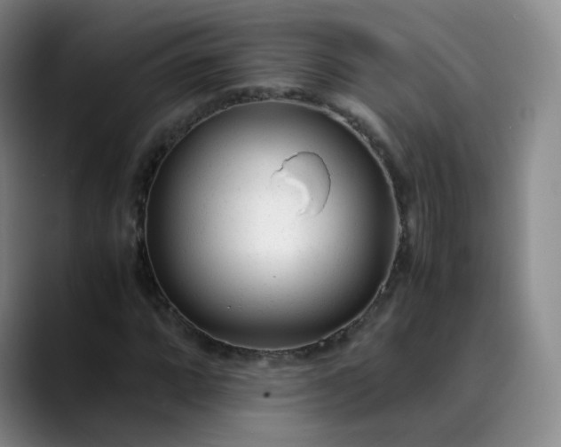 X0000089891064200707121827