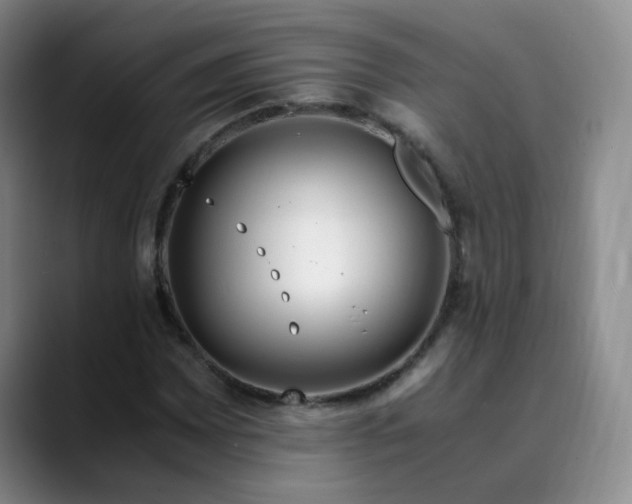 X0000089891065200707121827