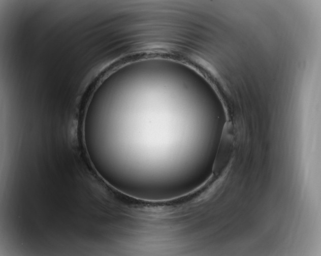 X0000089891066200707121827