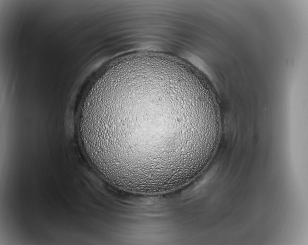 X0000089891067200707121827