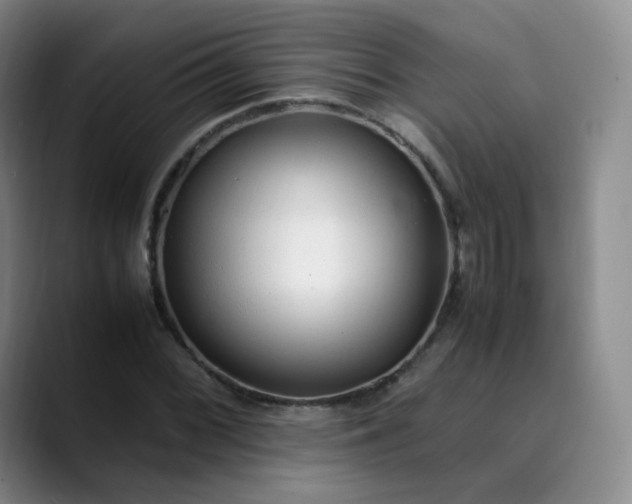 X0000089891068200707121827