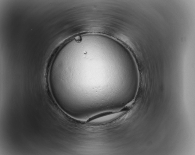 X0000089891071200707121827