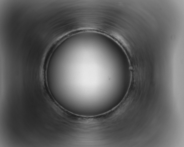 X0000089891072200707121827