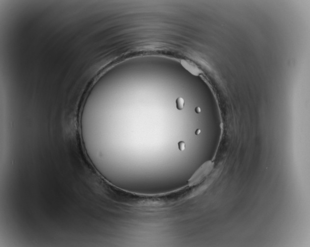 X0000089891073200707121827