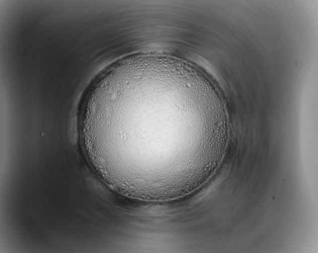 X0000089891075200707121827