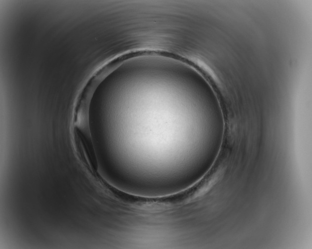 X0000089891077200707121827