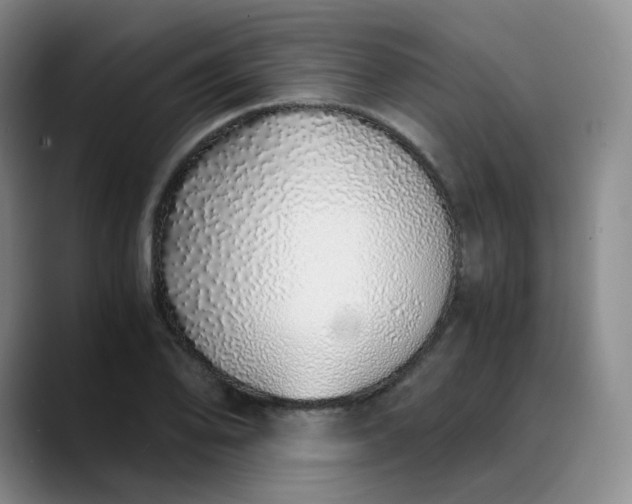 X0000089891078200707121827