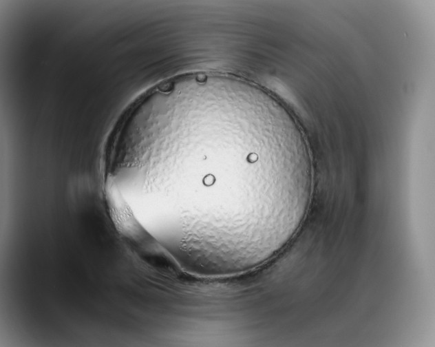 X0000089891079200707121827