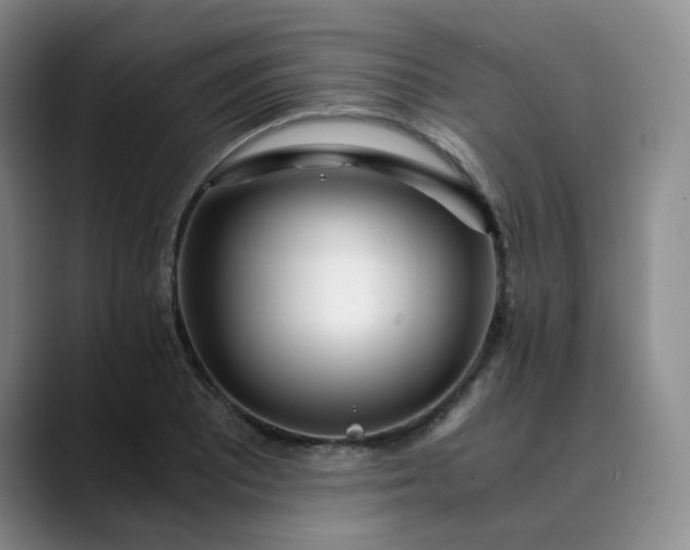 X0000089891081200707121827