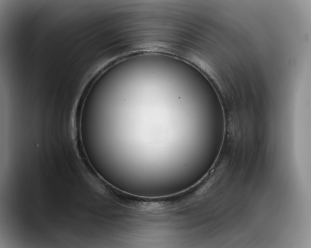 X0000089891082200707121827