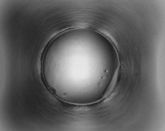 X0000089891083200707121827