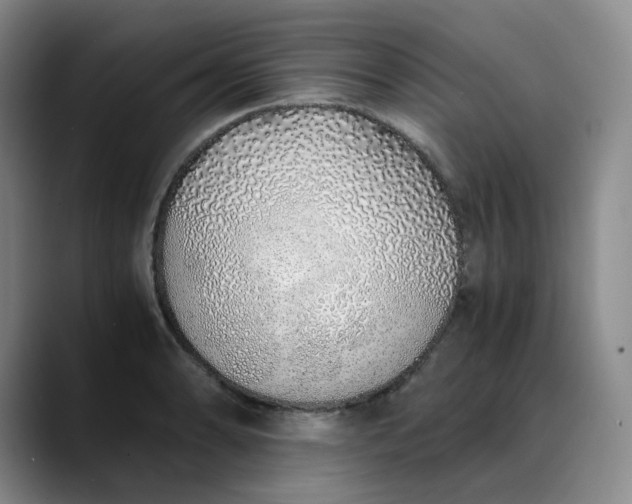 X0000089891086200707121827