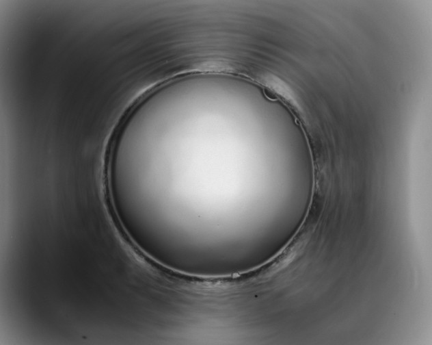 X0000089891087200707121827