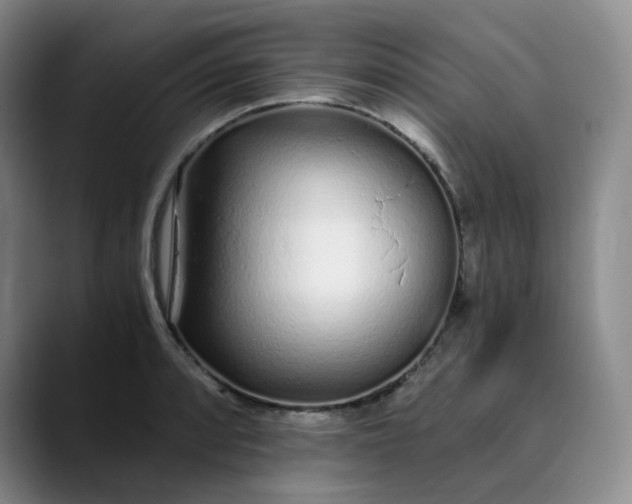 X0000089891088200707121827