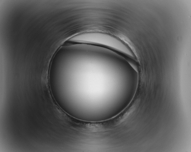 X0000089891089200707121827