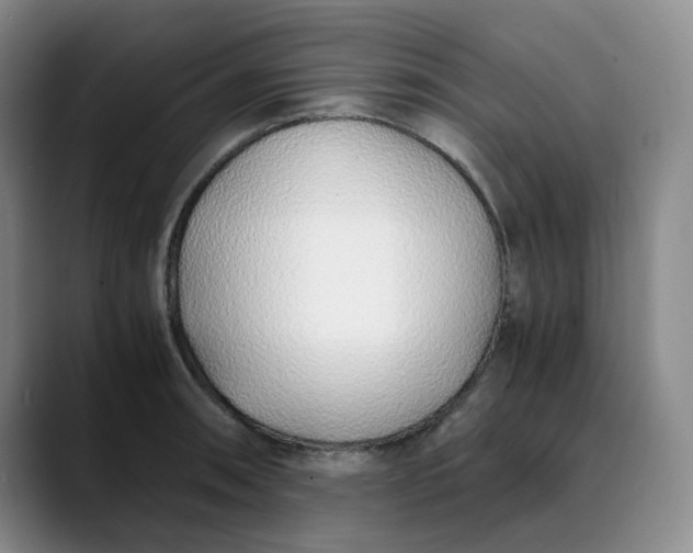 X0000089891090200707121827