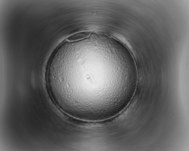 X0000089891091200707121827