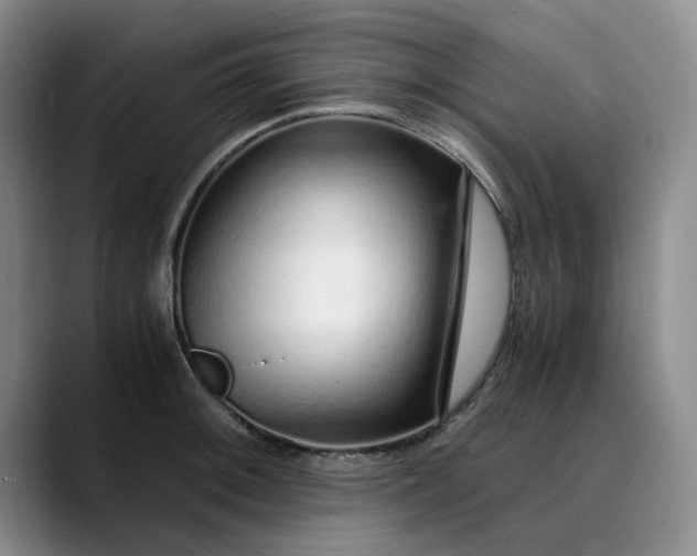 X0000089891092200707121827