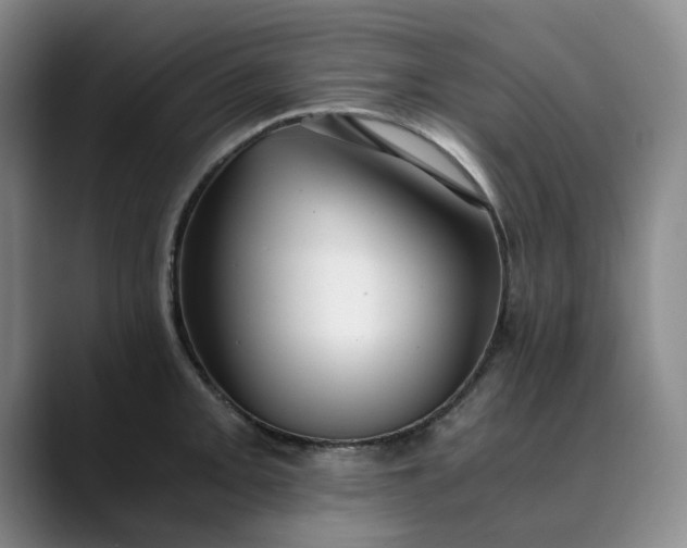 X0000089891093200707121827