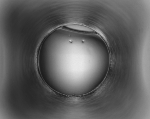 X0000089891096200707121827