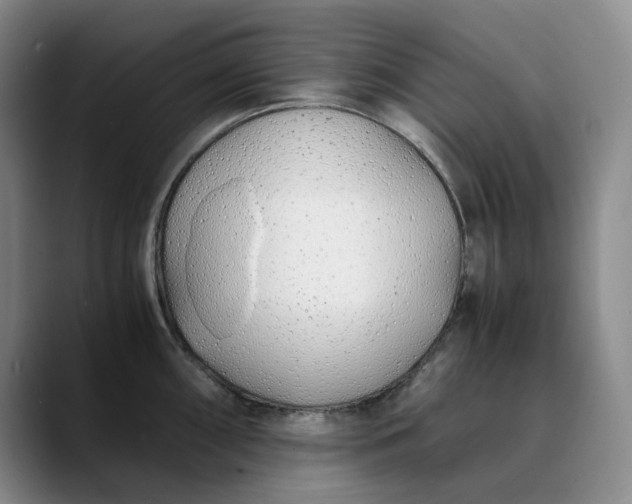 X0000089891098200707121827