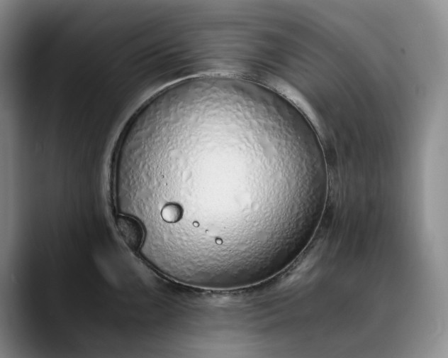 X0000089891099200707121826