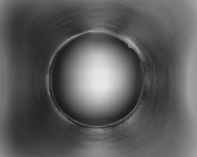 X0000089891100200707121826