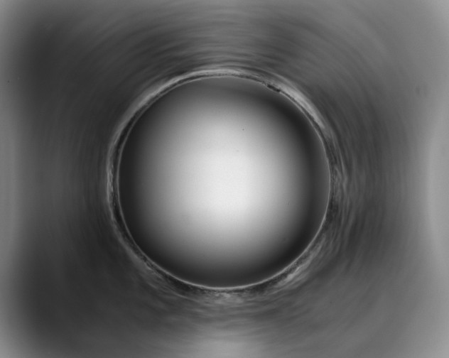 X0000089891101200707121826