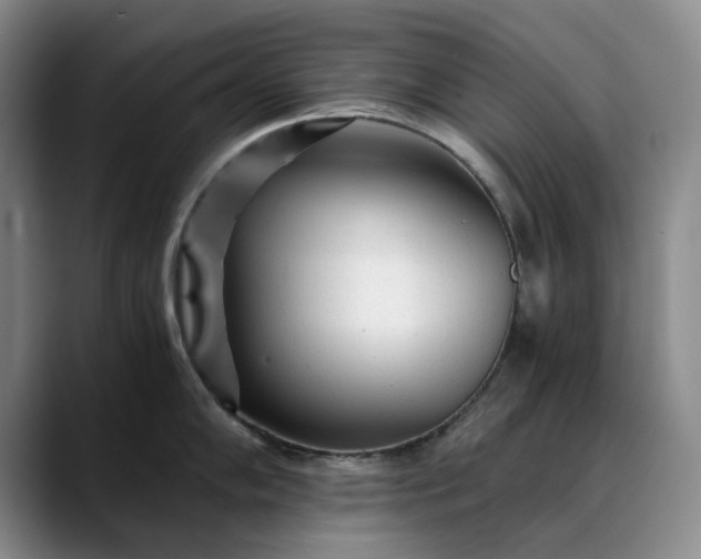 X0000089891102200707121826