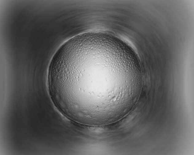 X0000089891103200707121826