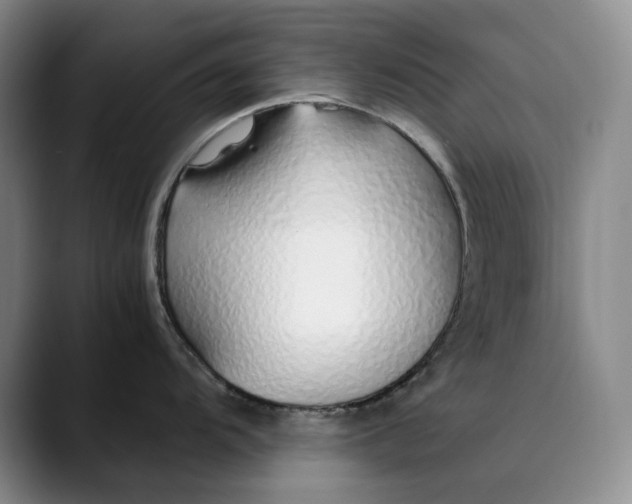 X0000089891104200707121826