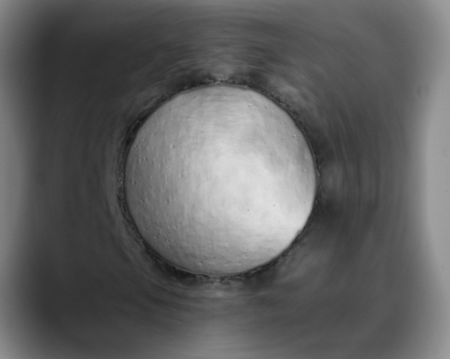 X0000089891105200707121826