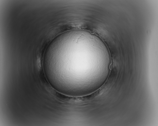 X0000089891106200707121826