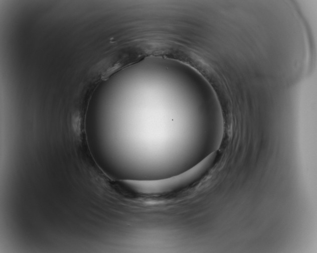 X0000089891108200707121826