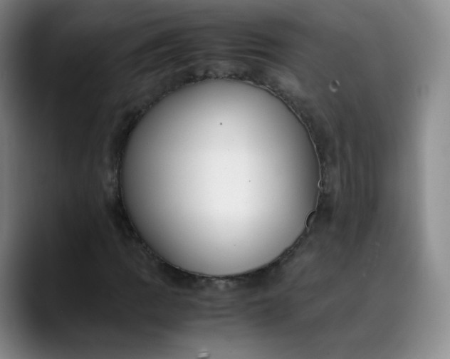 X0000089891109200707121826