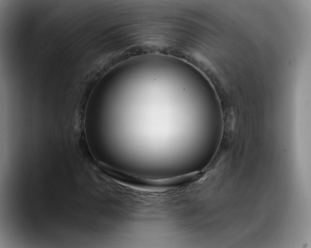 X0000089891110200707121826