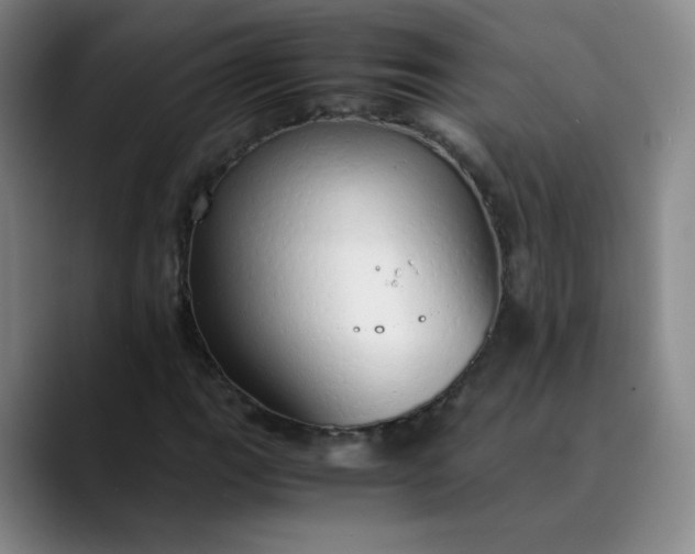 X0000089891111200707121826