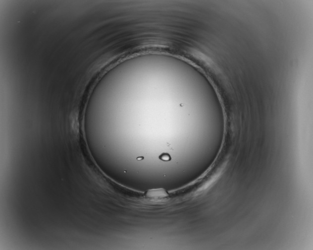 X0000089891113200707121826