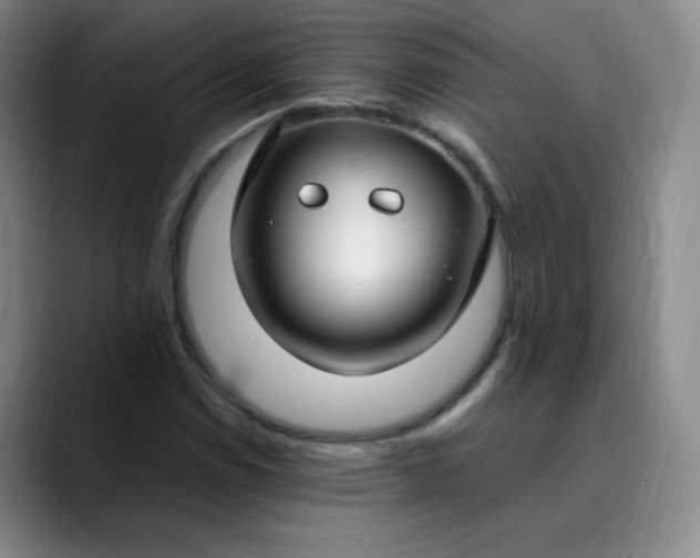 X0000089891114200707121826