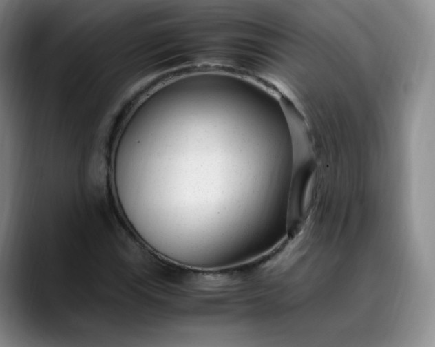 X0000089891115200707121826