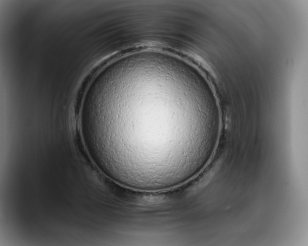 X0000089891117200707121826