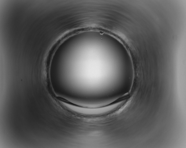 X0000089891118200707121826