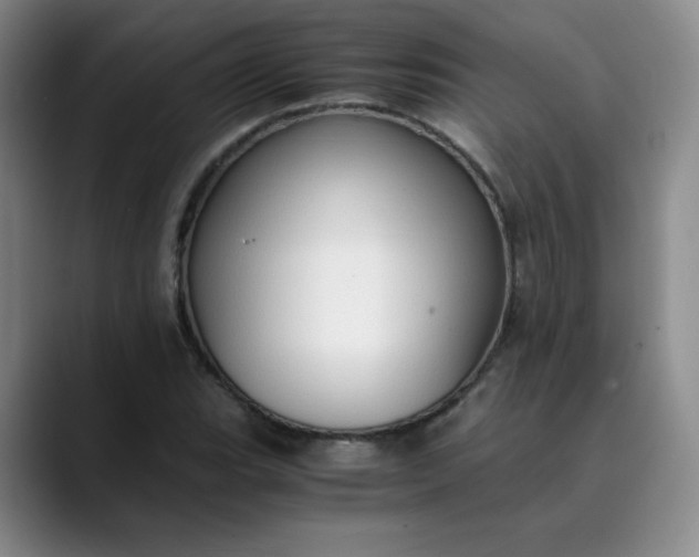 X0000089891119200707121826