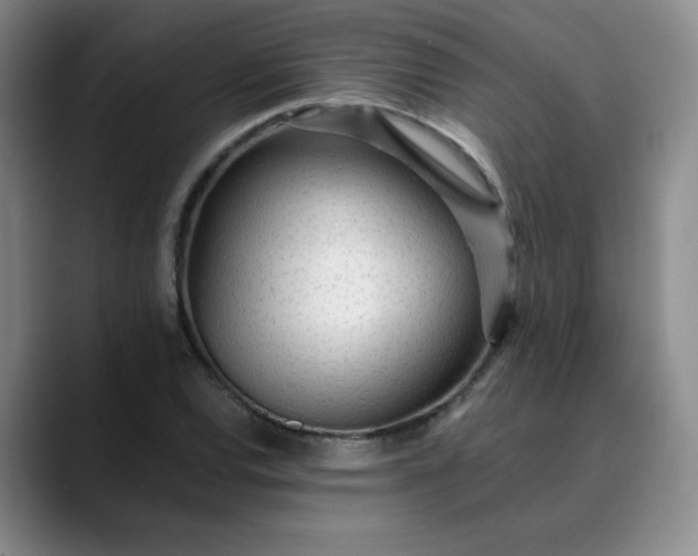 X0000089891120200707121826