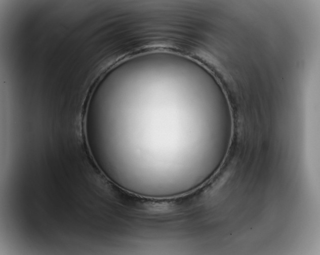 X0000089891121200707121826